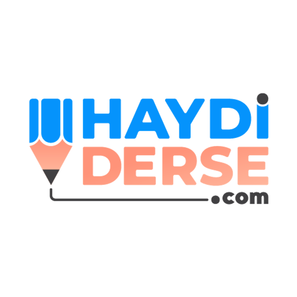 Haydi Derse Logo